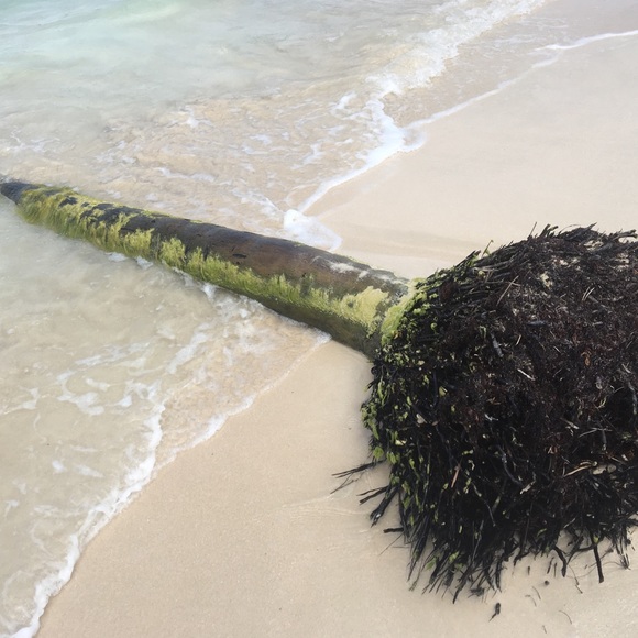 Meet your Posher, Yetzenia - Picture 5 of 8